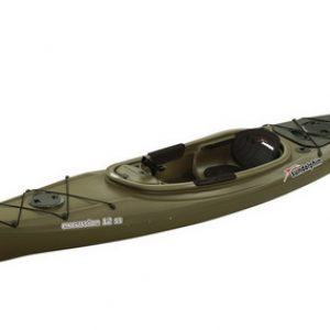 Sun-Dolphin-Excursion-12-Ss-1.jpg